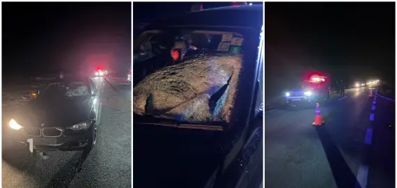 Foto Şofer din Olt, implicat într-un accident mortal în Dolj