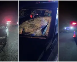 Foto Şofer din Olt, implicat într-un accident mortal în Dolj