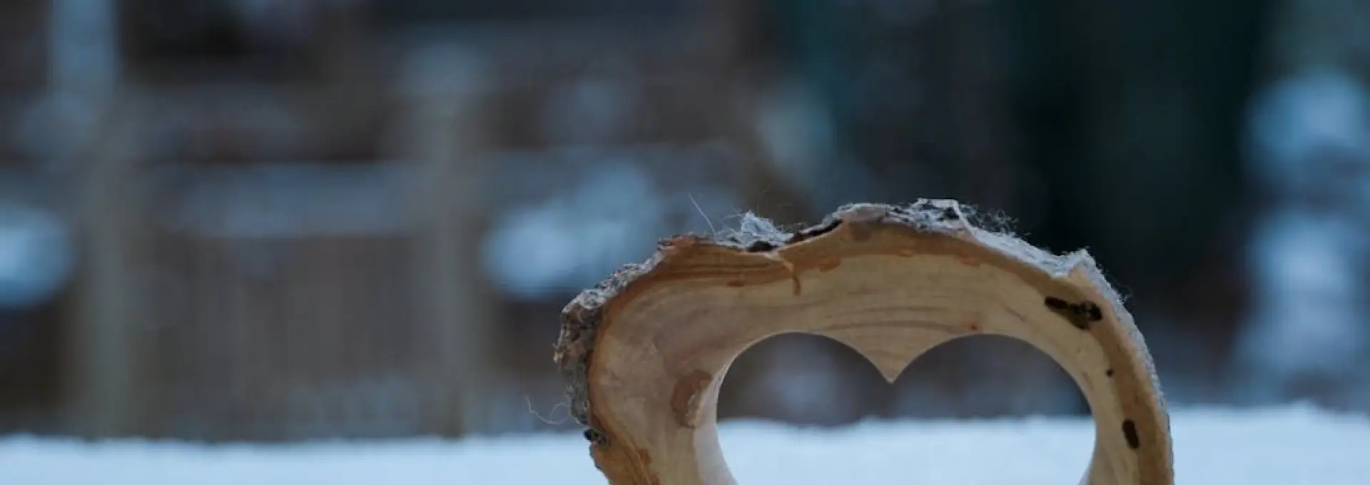 Foto Cod Galben de ninsori şi viscol, în judeţul Olt