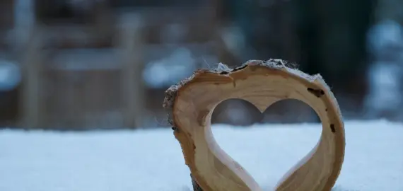 Foto Cod Galben de ninsori şi viscol, în judeţul Olt