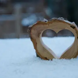 Foto Cod Galben de ninsori şi viscol, în judeţul Olt