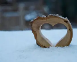 Foto Cod Galben de ninsori şi viscol, în judeţul Olt