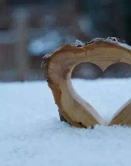 Foto Cod Galben de ninsori şi viscol, în judeţul Olt