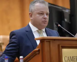Foto Apropiatul lui Gigel Ştirbu, inițiativă legislativă controversată: vrea reglementarea celei mai vechi profesii din lume