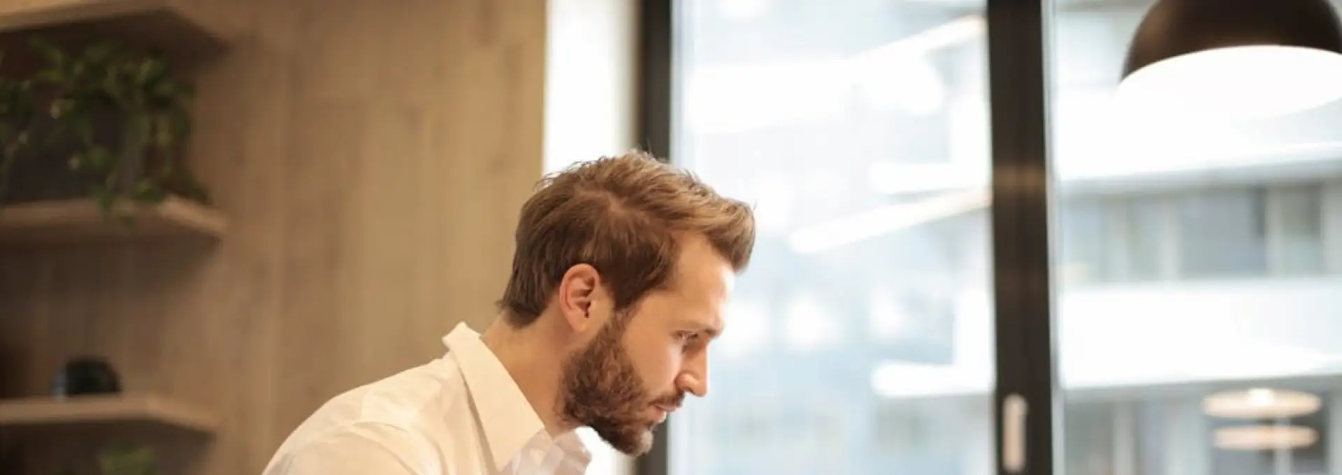 Foto Fuga de taxe în 2026: mirajul firmelor în Bulgaria și Dubai, între mit și realitate