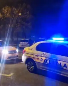 Foto Tânăr, din Milcov, reţinut după ce a furat un telefon mobil dintr-o maşină