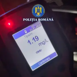 Foto Prins băut la volan pe o stradă din Piatra-Olt