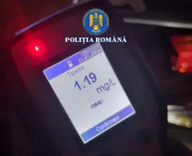 Foto Prins băut la volan pe o stradă din Piatra-Olt