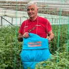 Foto Legumicultorii cer majorarea sprijinului la 2,5 euro/mp în 2026: „Taxele au crescut cu 300%, iar forța de muncă lipsește”