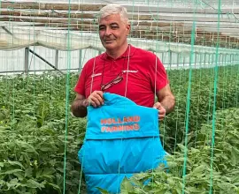 Foto Legumicultorii cer majorarea sprijinului la 2,5 euro/mp în 2026: „Taxele au crescut cu 300%, iar forța de muncă lipsește”