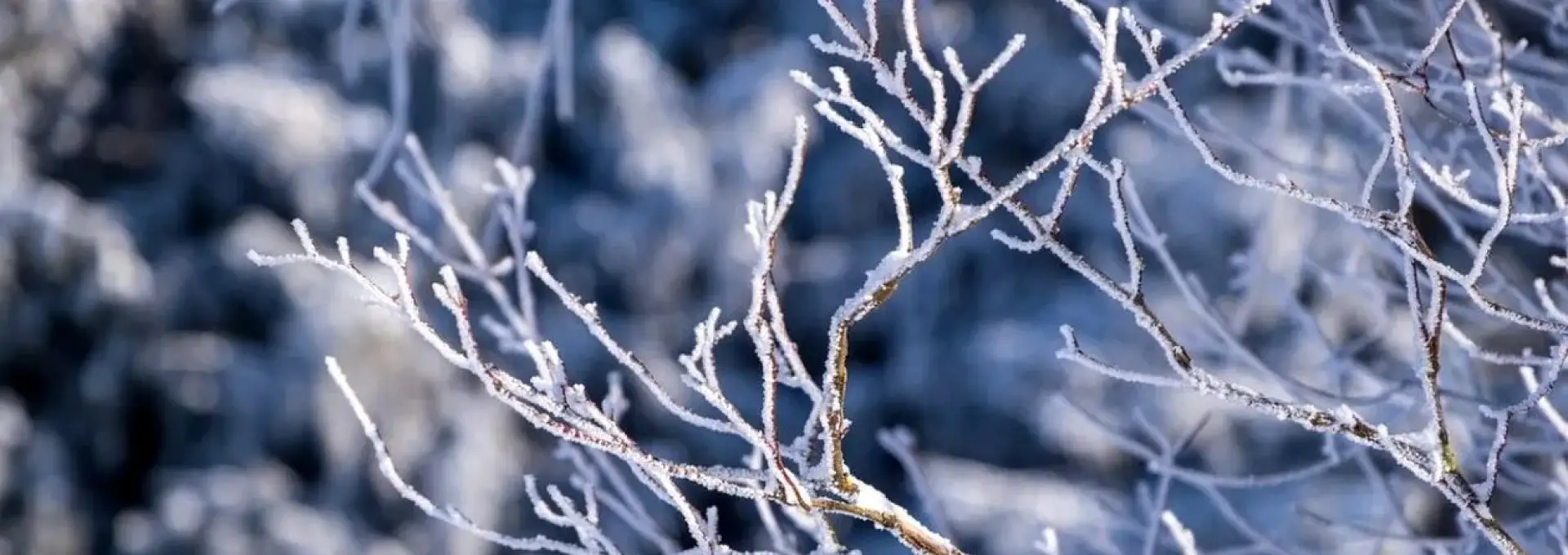 Foto Ger în toată ţara până la mijlocul săptămânii viitoare