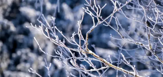 Foto Ger în toată ţara până la mijlocul săptămânii viitoare