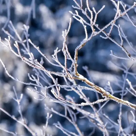 Foto Ger în toată ţara până la mijlocul săptămânii viitoare
