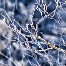 Foto Ger în toată ţara până la mijlocul săptămânii viitoare