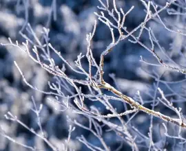 Foto Ger în toată ţara până la mijlocul săptămânii viitoare