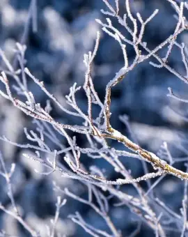 Foto Ger în toată ţara până la mijlocul săptămânii viitoare