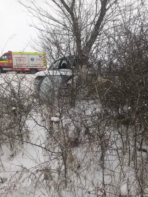 Foto Accident la Găneasa. Un şofer a intrat într-un copac de pe marginea drumului