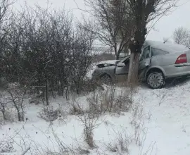 Foto Accident la Găneasa. Un şofer a intrat într-un copac de pe marginea drumului