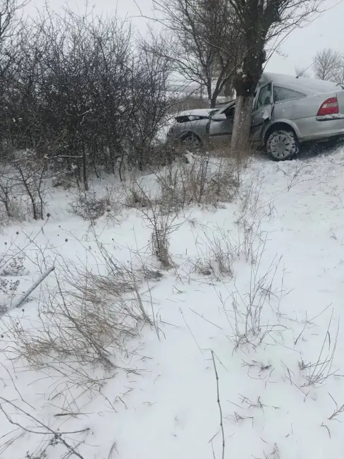 Foto Accident la Găneasa. Un şofer a intrat într-un copac de pe marginea drumului