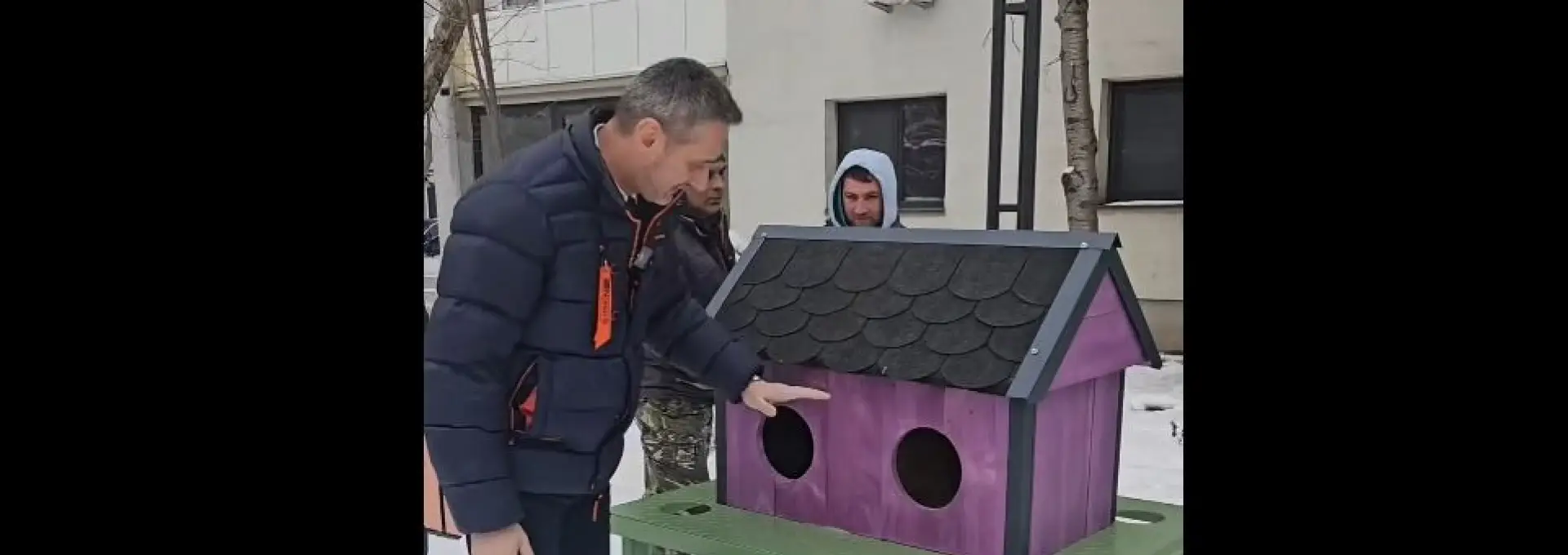 Foto Adăposturile pentru pisicile din Slatina, o nouă găinărie a lui De Mezzo şi a găştii de la Dezvoltare Urbană: 4.250 lei, preţ pe bucată