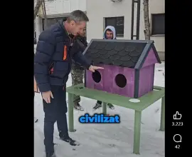 Foto Adăposturile pentru pisicile din Slatina, o nouă găinărie a lui De Mezzo şi a găştii de la Dezvoltare Urbană: 4.250 lei, preţ pe bucată