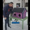 Foto Adăposturile pentru pisicile din Slatina, o nouă găinărie a lui De Mezzo şi a găştii de la Dezvoltare Urbană: 4.250 lei, preţ pe bucată