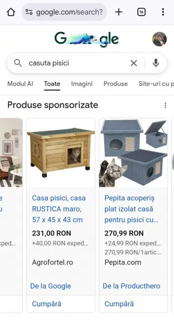 Foto Adăposturile pentru pisicile din Slatina, o nouă găinărie a lui De Mezzo şi a găştii de la Dezvoltare Urbană: 4.250 lei, preţ pe bucată