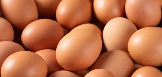 Foto Dosarele „Raffaello, Merci și 30 de ouă”: Cum au respins judecătorii vâlceni acordurile de recunoaștere pentru mită derizorie