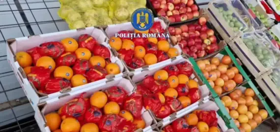 Foto 12 tone de portocale cu pesticide, vândute românilor sub etichetă falsă de Grecia. 12 persoane duse la audieri