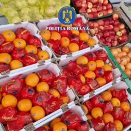 Foto 12 tone de portocale cu pesticide, vândute românilor sub etichetă falsă de Grecia. 12 persoane duse la audieri
