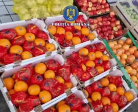 Foto 12 tone de portocale cu pesticide, vândute românilor sub etichetă falsă de Grecia. 12 persoane duse la audieri