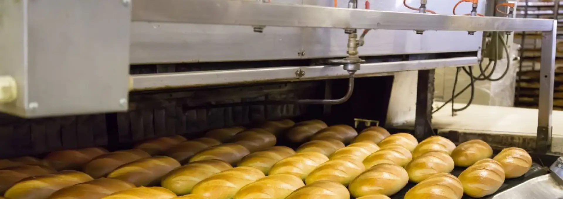 Foto Două unități de panificație din Olt, suspendate temporar în luna ianuarie de DSVSA