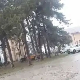 Foto Excavări ilegale pentru crucea lui De Mezzo de pe Dealul Grădişte (VIDEO)