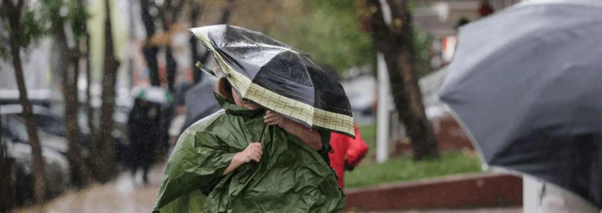 Foto Ploi în aproape toată ţara, până miercuri. Oltul, sub Cod Galben de vânt