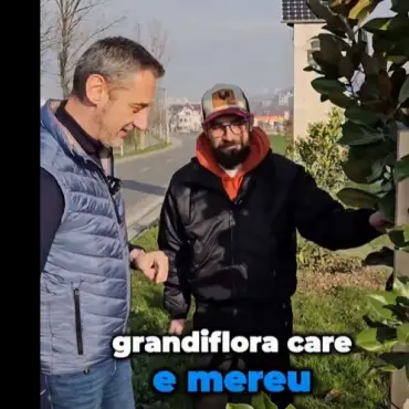 Foto Firma Primăriei Slatina, Dezvoltare Urbană, factură pentru 232 de „ore mentenanţă şi reparaţii locuri de joacă - luna februarie 2026”