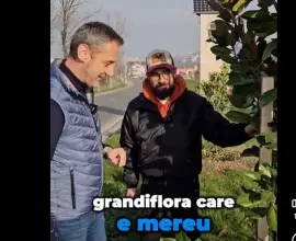 Foto Firma Primăriei Slatina, Dezvoltare Urbană, factură pentru 232 de „ore mentenanţă şi reparaţii locuri de joacă - luna februarie 2026”