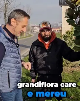 Foto Firma Primăriei Slatina, Dezvoltare Urbană, factură pentru 232 de „ore mentenanţă şi reparaţii locuri de joacă - luna februarie 2026”