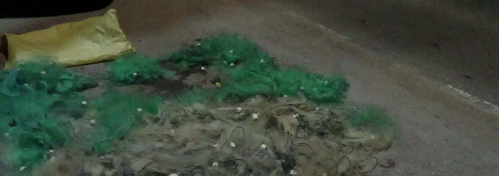 Foto Braconaj piscicol în zona Hidrocentralei Ipoteşti