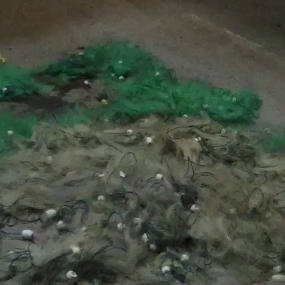 Foto Braconaj piscicol în zona Hidrocentralei Ipoteşti