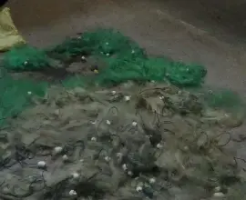 Foto Braconaj piscicol în zona Hidrocentralei Ipoteşti