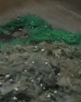 Foto Braconaj piscicol în zona Hidrocentralei Ipoteşti