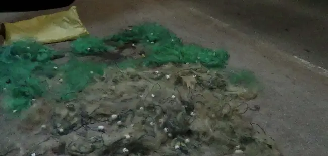 Foto Braconaj piscicol în zona Hidrocentralei Ipoteşti