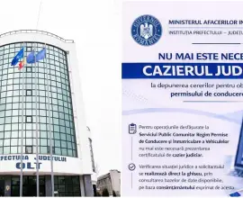 Foto Prefectura Olt: Fără cazier judiciar la dosarul pentru permisul de conducere