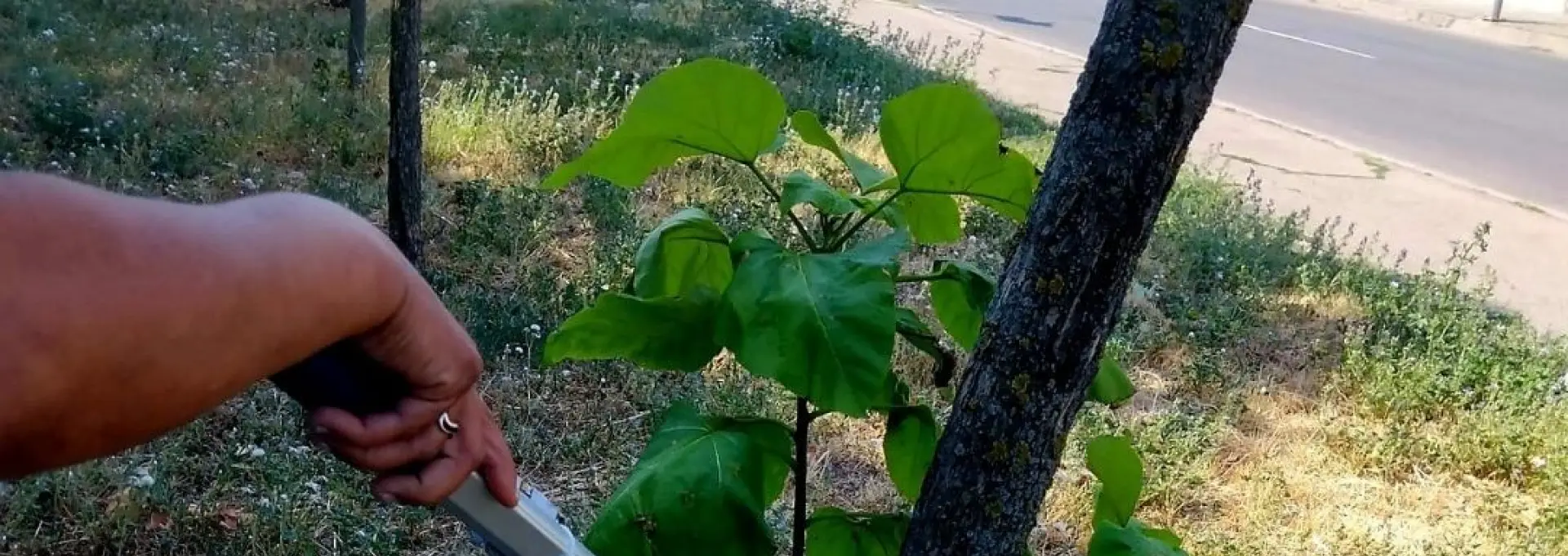 Foto Artificiul fragmentării achiziţiilor: Cum a primit o firmă înfiinţată în urmă cu o lună contracte de sute de mii de lei la Slatina