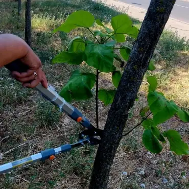 Foto Artificiul fragmentării achiziţiilor: Cum a primit o firmă înfiinţată în urmă cu o lună contracte de sute de mii de lei la Slatina