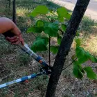 Foto Artificiul fragmentării achiziţiilor: Cum a primit o firmă înfiinţată în urmă cu o lună contracte de sute de mii de lei la Slatina