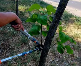 Foto Artificiul fragmentării achiziţiilor: Cum a primit o firmă înfiinţată în urmă cu o lună contracte de sute de mii de lei la Slatina