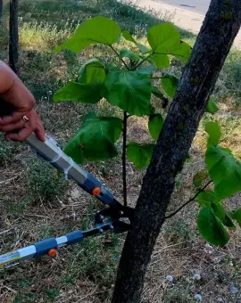 Foto Artificiul fragmentării achiziţiilor: Cum a primit o firmă înfiinţată în urmă cu o lună contracte de sute de mii de lei la Slatina