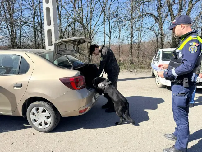 Foto Campanie de prevenire a drogurilor și furturilor în transportul feroviar din Olt