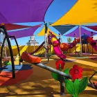 Foto Caracatița achizițiilor directe în Slatina: Cum a ajuns o firmă să încasaze sute de mii de lei pentru „umbrele” și stâlpi